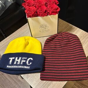 Two Brand New beanies
